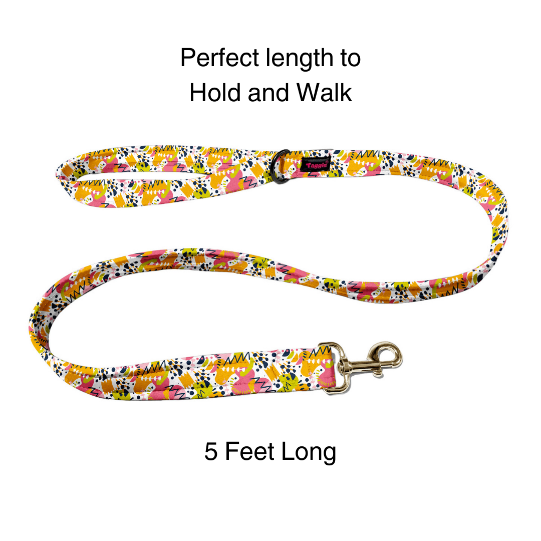 Berry Burst Leash