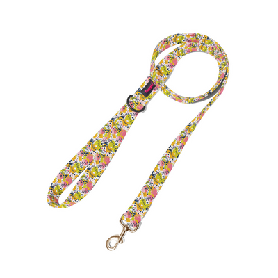 Berry Burst Leash