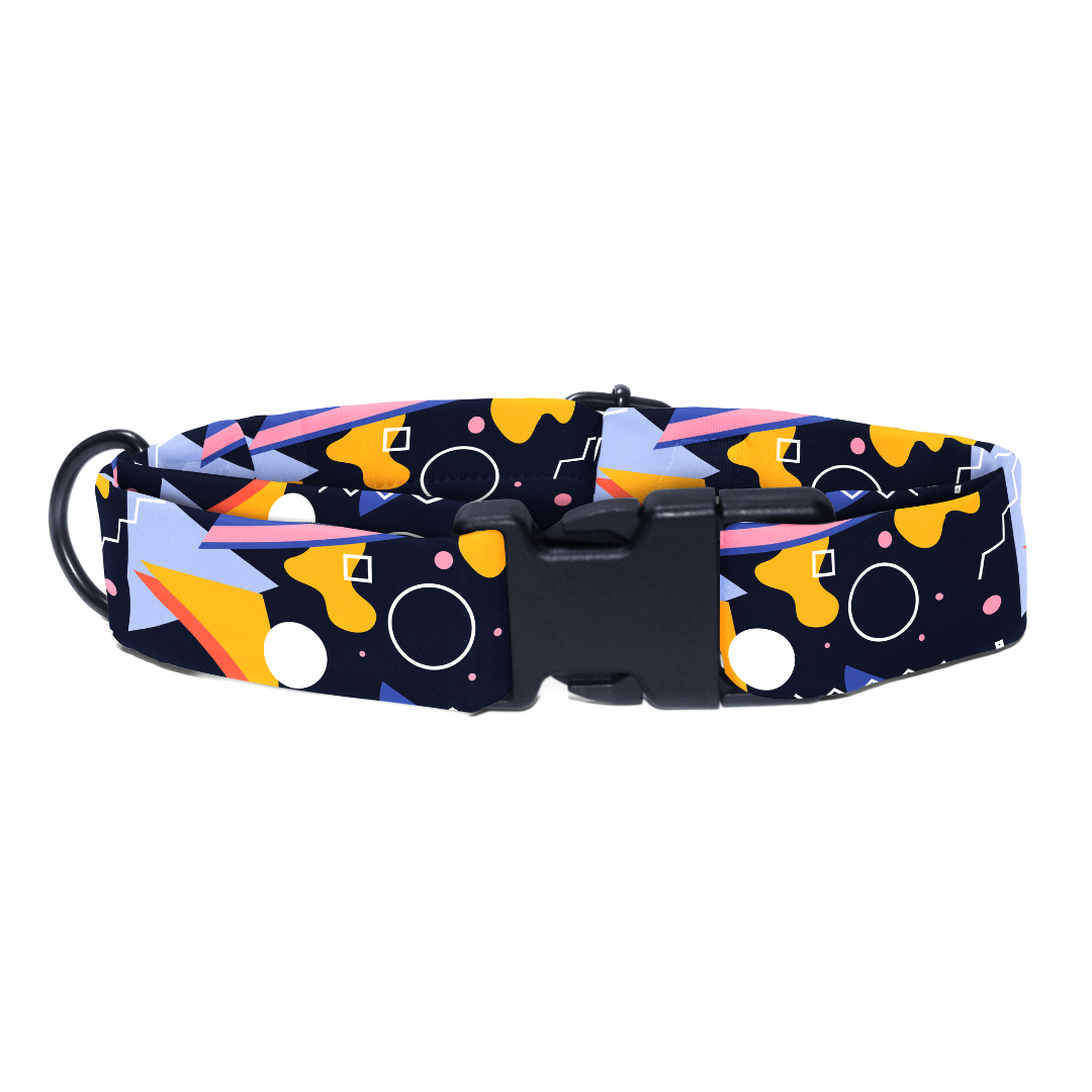 Boldly Bohemian - Collar & Tag
