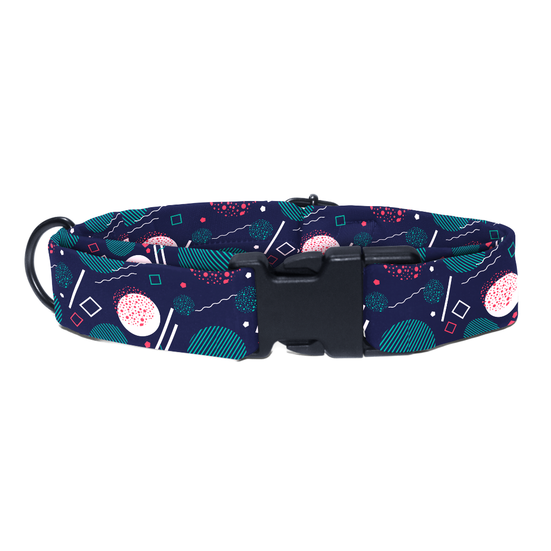 Offbeat Opulence - Collar & Tag
