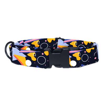 Boldly Bohemian - Collar & Tag