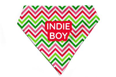 Wave of Colour - Bandana