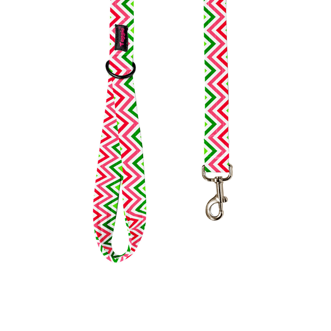Wave of Colour Leash