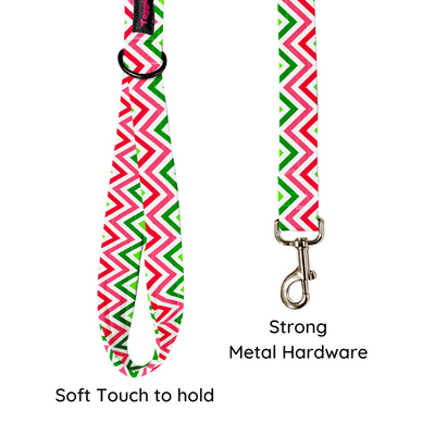 Wave of Colour Leash