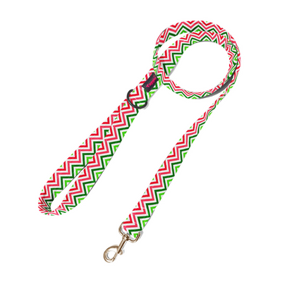 Wave of Colour Leash
