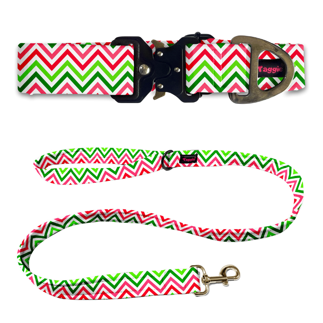 Wave of Colour Collar-Leash