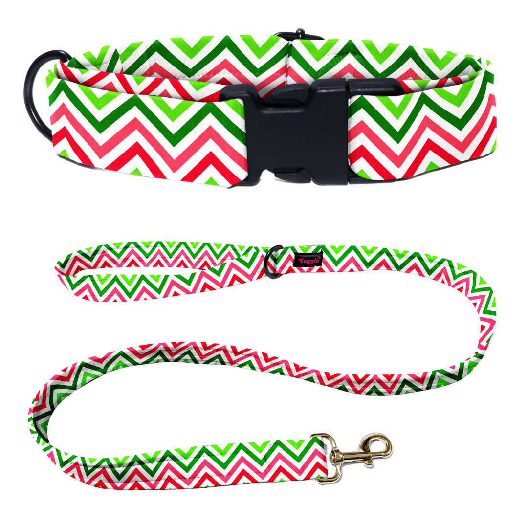 Wave of Colour Collar-Leash