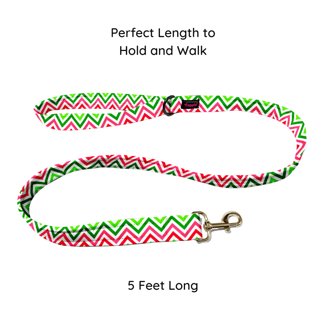 Wave of Colour Collar-Leash