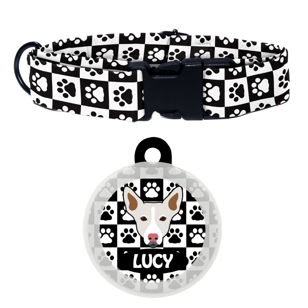 Indie white - Collar & Tag