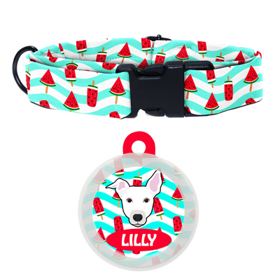 indie white (ears half) - Collar & Tag