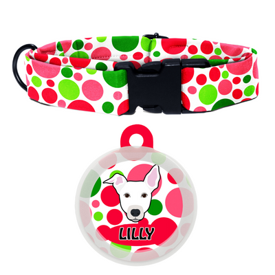 indie white (ears half) - Collar & Tag
