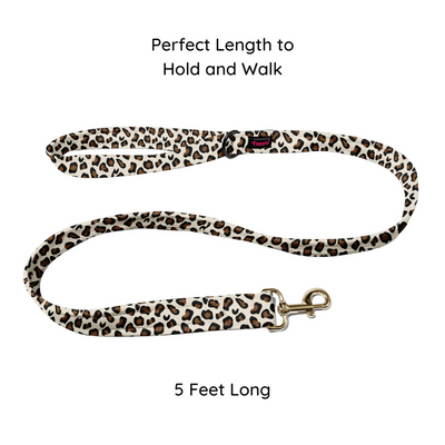 Wild & Witty Collar-Leash