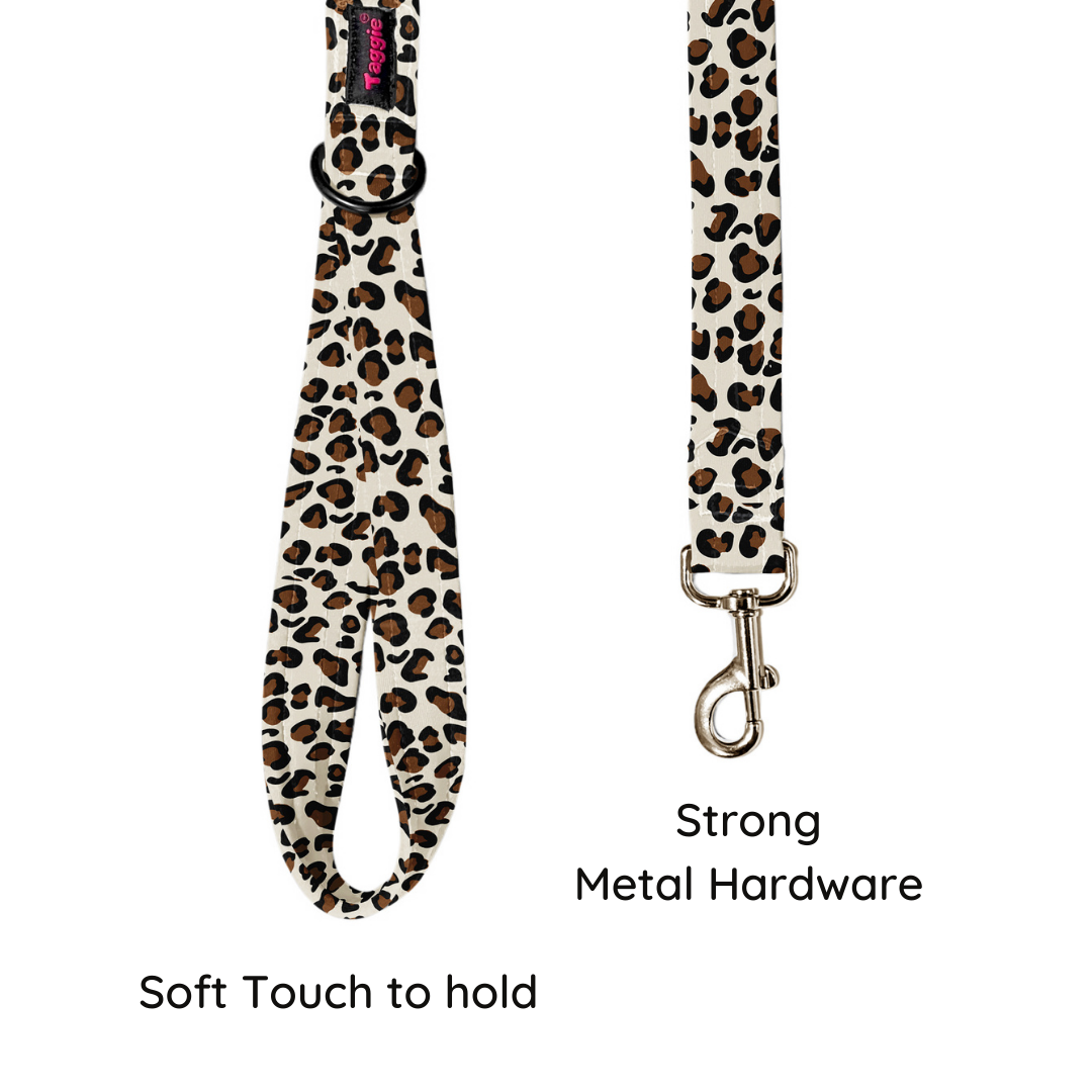 Wild & Witty Collar-Leash