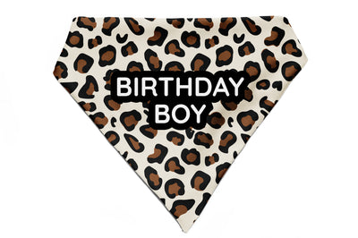 Wild & Witty - Bandana