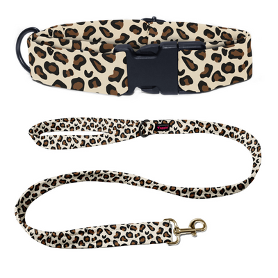 Wild & Witty Collar-Leash