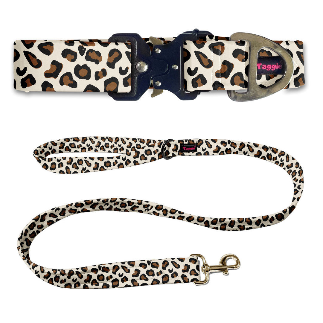 Wild & Witty Collar-Leash