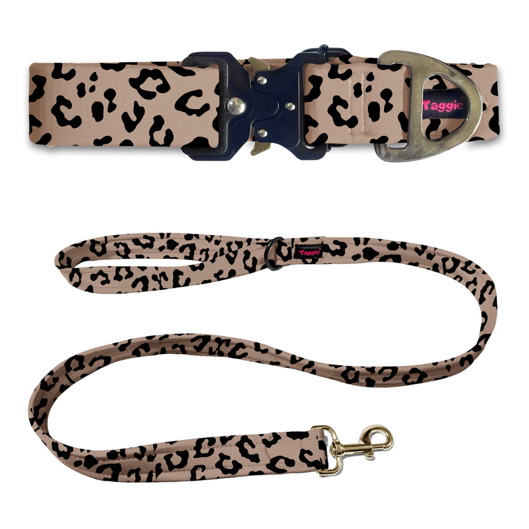 Wild Wonder Collar-Leash