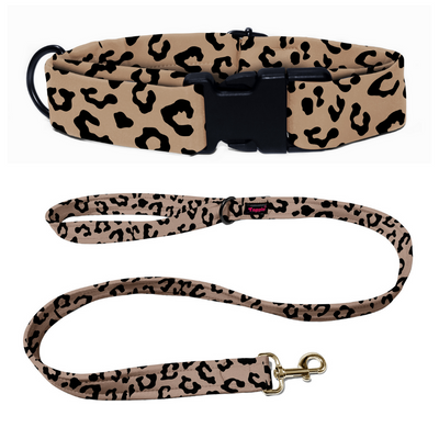 Wild Wonder Collar-Leash