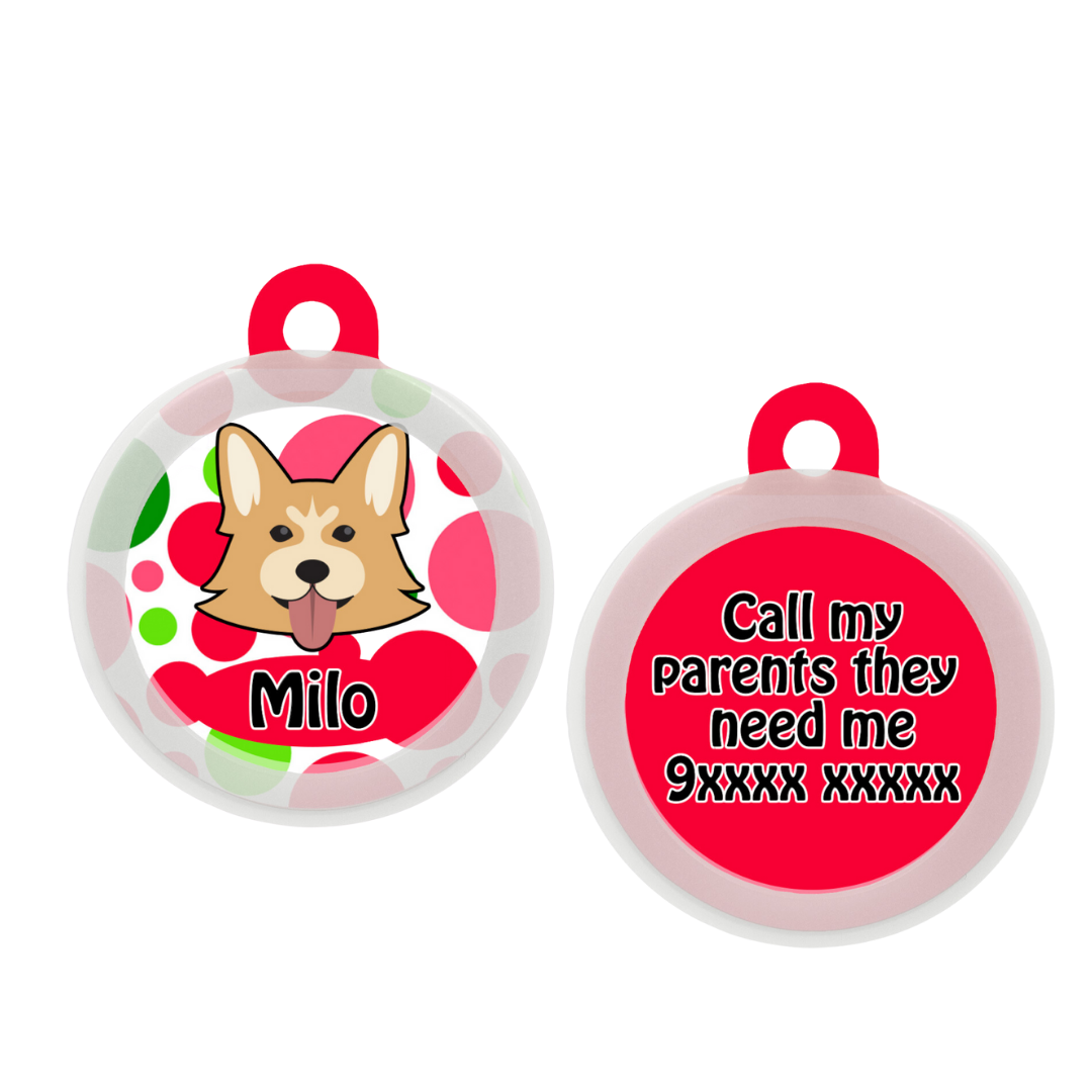 Welsh Corgi - Collar & Tag