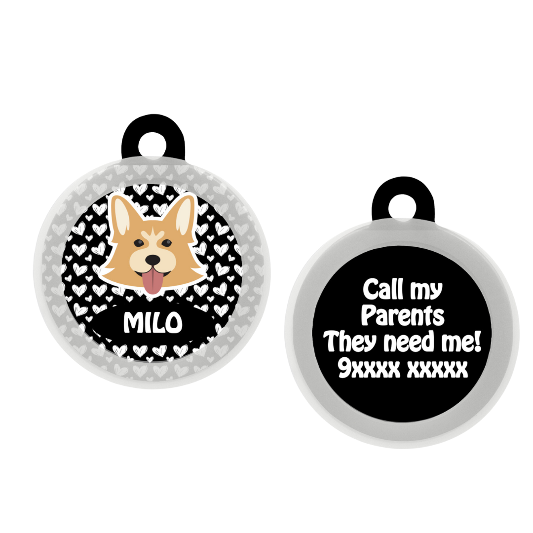 Welsh Corgi - Collar & Tag