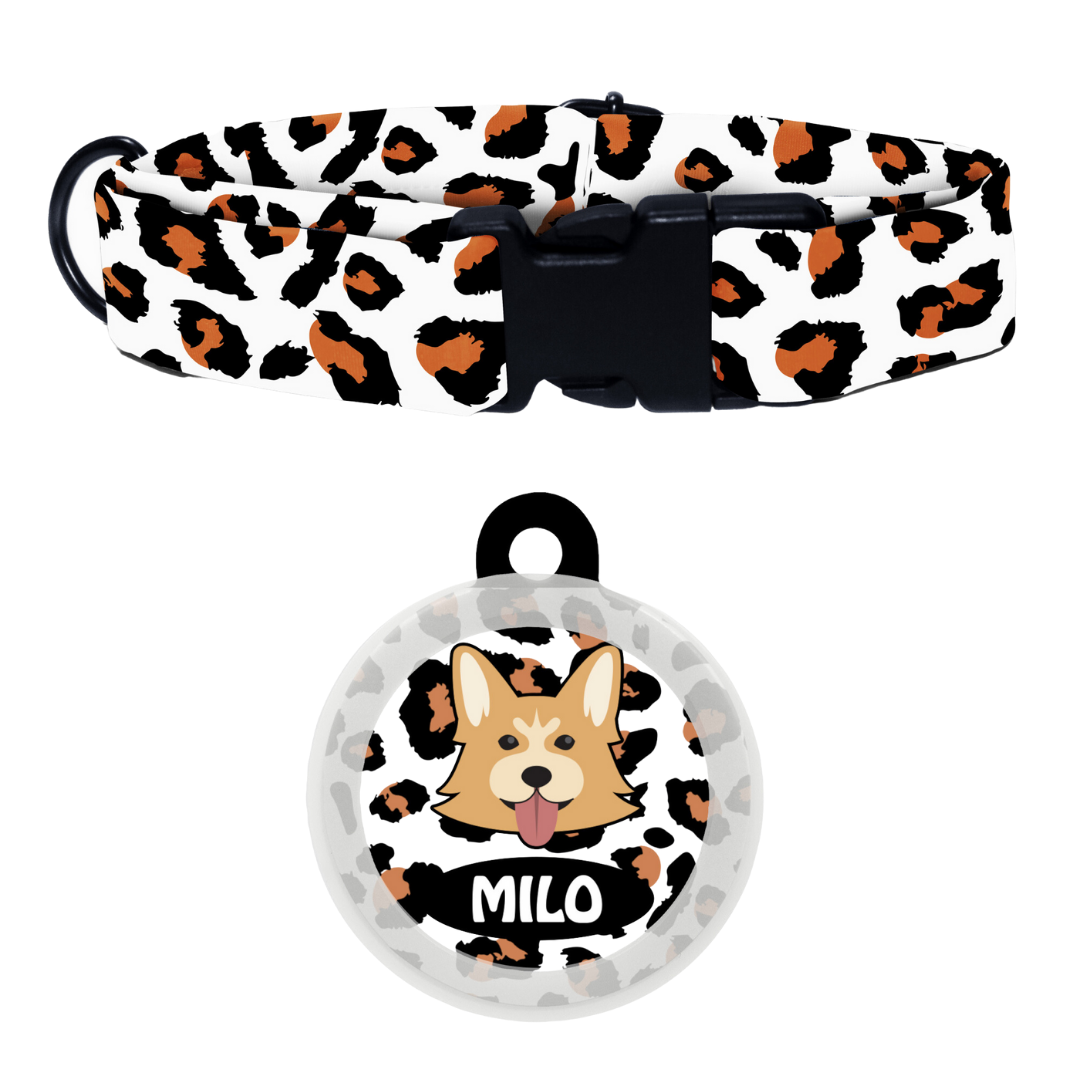 Welsh Corgi - Collar & Tag