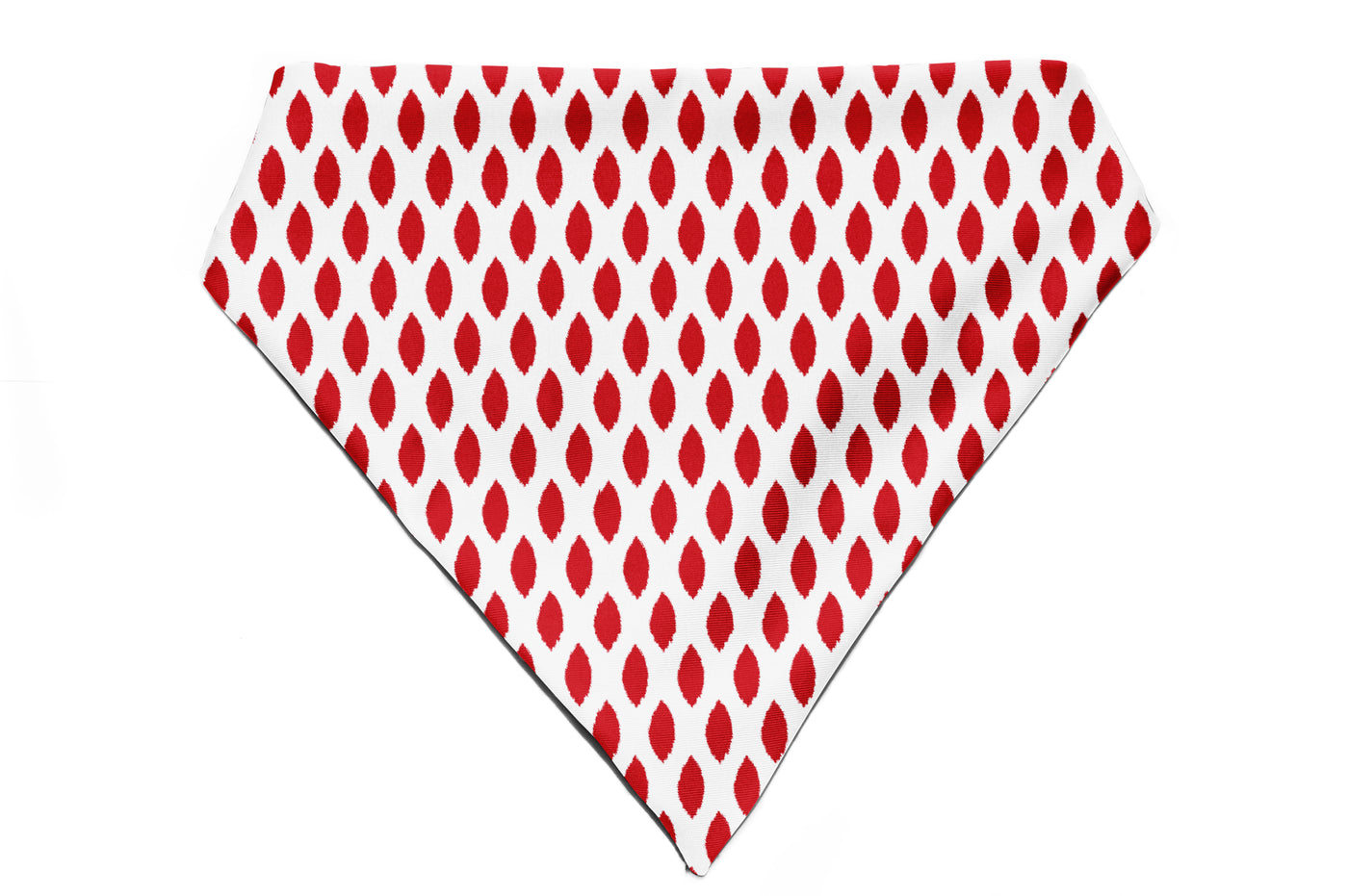 Paisley Pride - Bandana