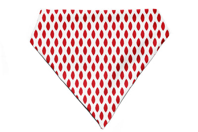 Paisley Pride - Bandana