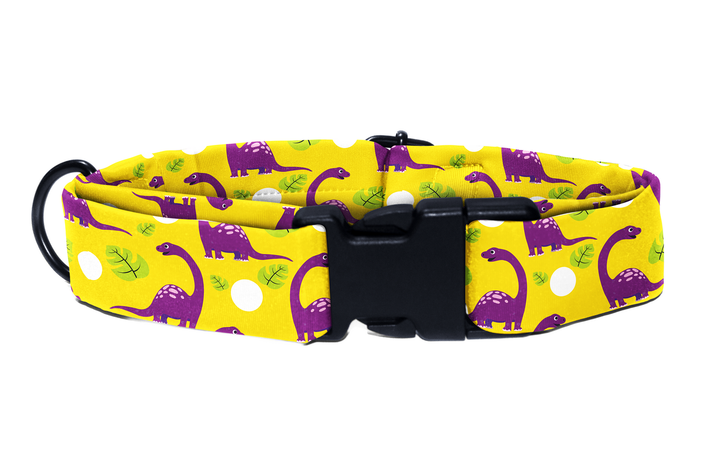 Dino Delight - Collar & Tag