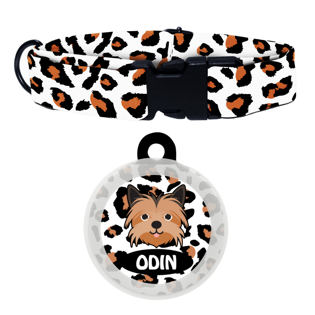 Yorkshire Terrier  - Collar & Tag