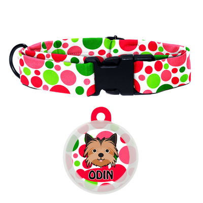 Yorkshire Terrier  - Collar & Tag