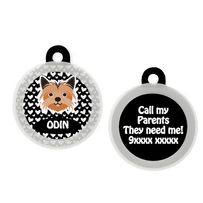 Yorkshire Terrier  - Collar & Tag