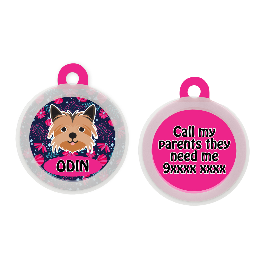 Yorkshire Terrier  - Collar & Tag