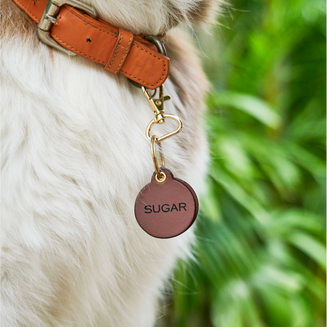 Leather PetID Tag