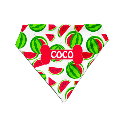 Melon Mingle - Bandana