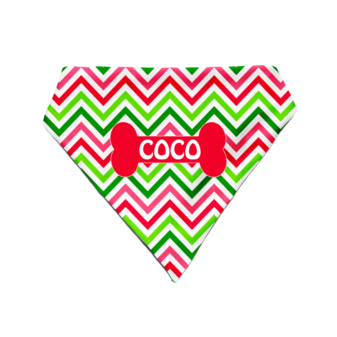 Wave of Colour - Bandana