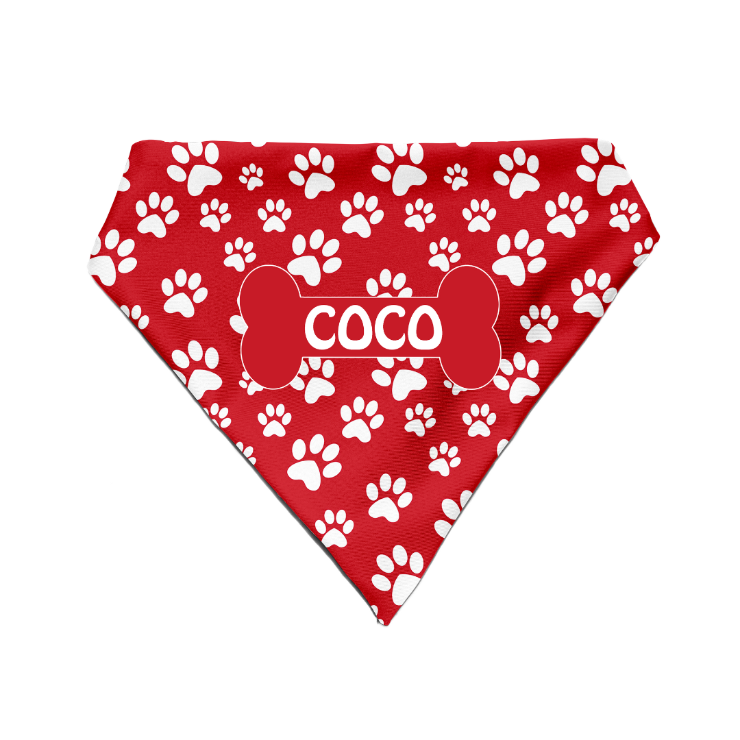 Fido's Favourite - Bandana