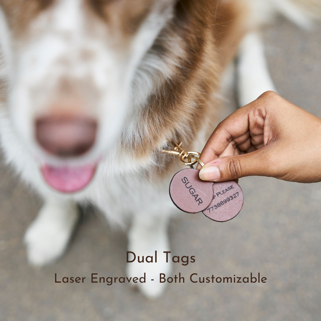Leather PetID Tag