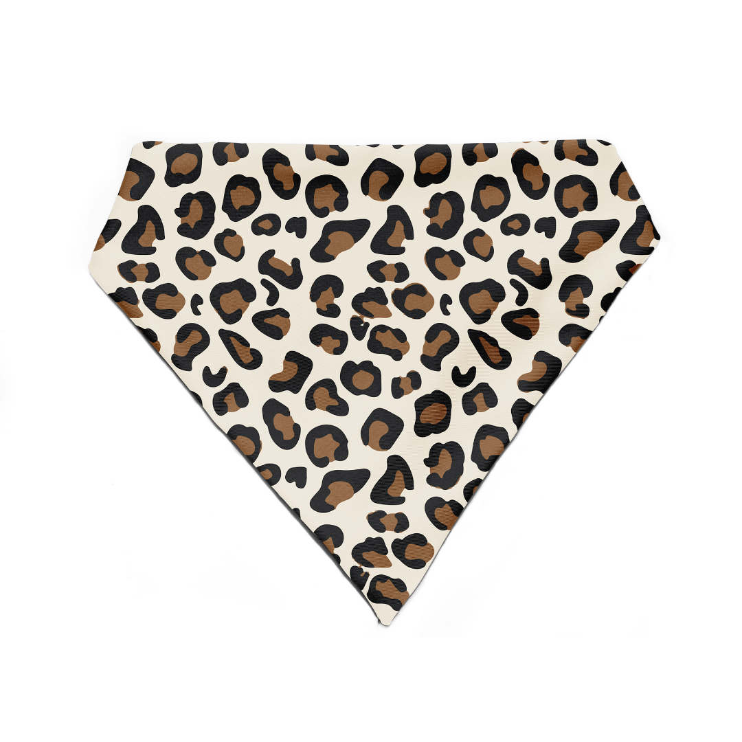 Wild & Witty - Bandana