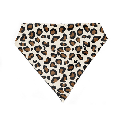 Wild & Witty - Bandana