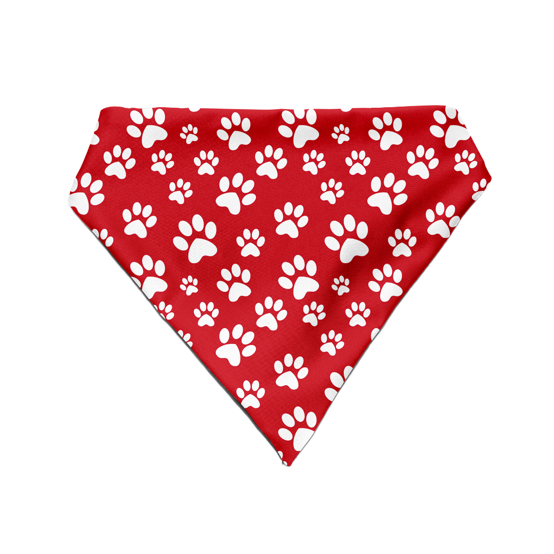 Fido's Favourite - Bandana