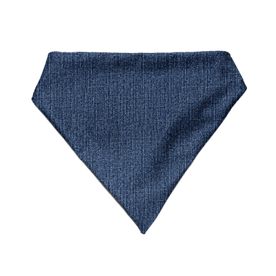Blue Jean Blues - Bandana
