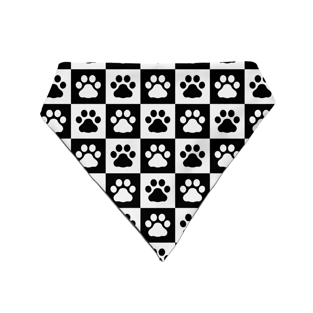 Paws & Boxes - Bandana