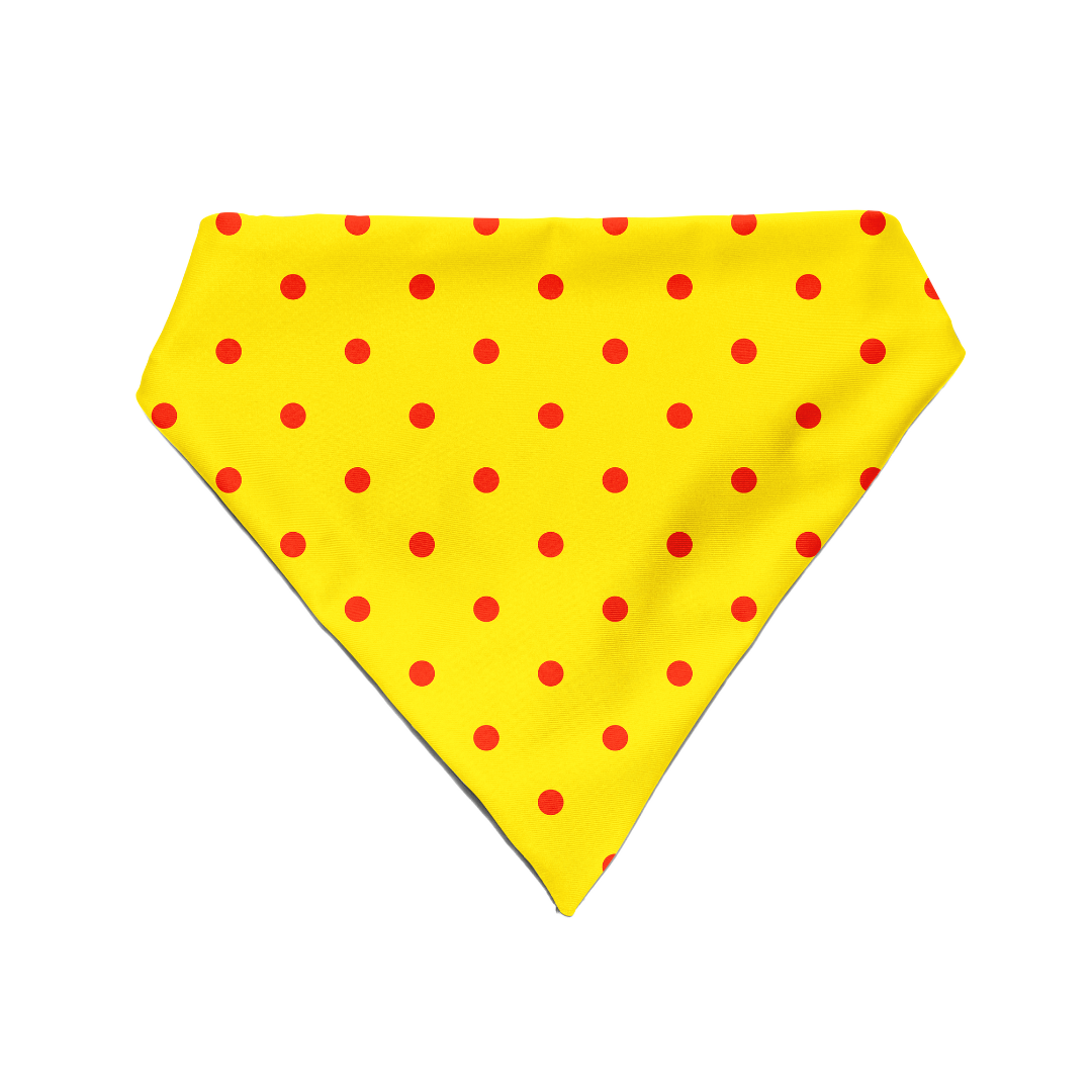 Sun Kissed Spots - Bandana