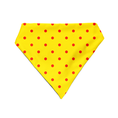Sun Kissed Spots - Bandana