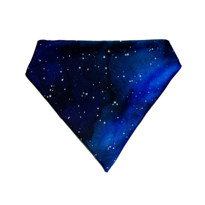 Outer Orbit - Bandana