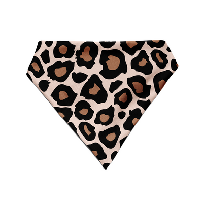 Cheetah Chic - Bandana