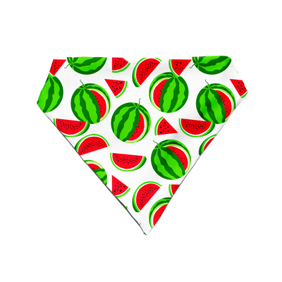 Melon Mingle - Bandana