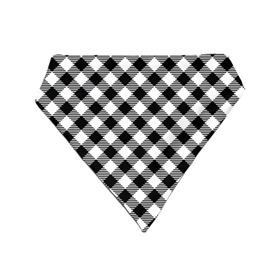 Bold & Boxed - Bandana