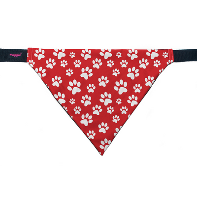 Fido's Favourite - Bandana