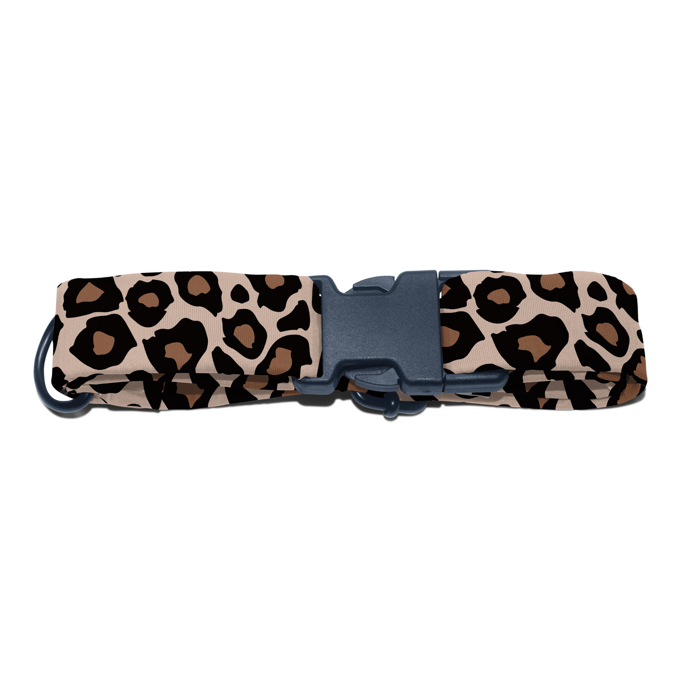 Cheetah Chic